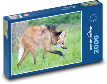 Vlk - puzzle 2000 dílků