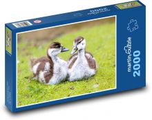 Divoké husy Puzzle 2000 - 90x60 cm