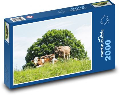 Kravy - Puzzle 2000 dielikov, rozmer 90x60 cm 