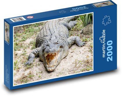 krokodyl - Puzzle 2000 elementów, rozmiar 90x60 cm