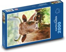 Krava Puzzle 2000 dielikov - 90 x 60 cm