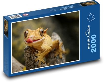Gecko - lizard - Puzzle 2000 pieces, size 90x60 cm 
