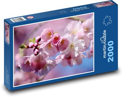 Kvitnú čerešne - Puzzle 2000 dielikov, rozmer 90x60 cm 