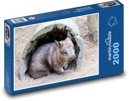 Südlicher Wombat mit pelziger Nase - Puzzle - 2000 Teile