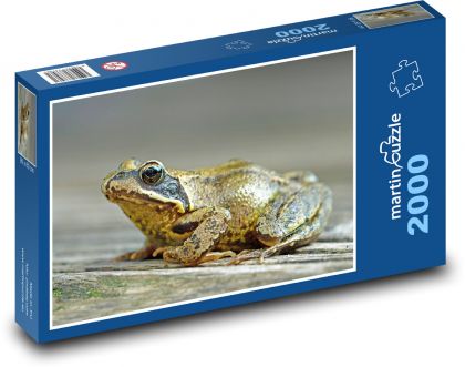 Brown Frog - Puzzle 2000 pieces, size 90x60 cm 