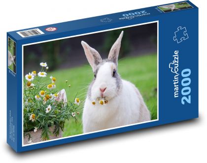 Králik a sedmokrásky - Puzzle 2000 dielikov, rozmer 90x60 cm 