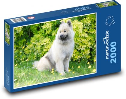 Pes - Eurasier olaf blue - Puzzle 2000 dielikov, rozmer 90x60 cm 