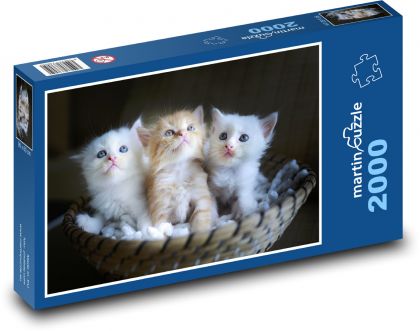 Koťata - puzzle 2000 dílků