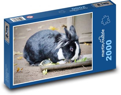 Domestic rabbit - Puzzle 2000 pieces, size 90x60 cm 