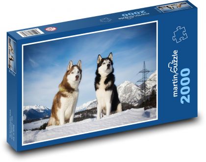 Sibiřský husky - pes - puzzle 2000 dílků