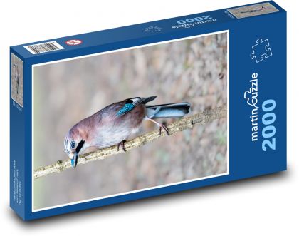 Vták - jay - Puzzle 2000 dielikov, rozmer 90x60 cm 