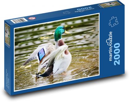 Kaczka - Puzzle 2000 elementów, rozmiar 90x60 cm
