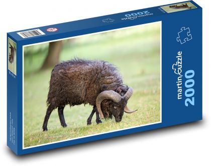 Schaf - Puzzle - 2000 Teile