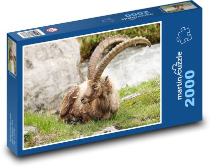 Kozorožec horský - puzzle 2000 dílků