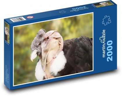 Kondor - ptak - Puzzle 2000 elementów, rozmiar 90x60 cm