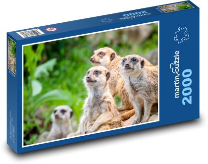 Erdmännchen - Puzzle - 2000 Teile