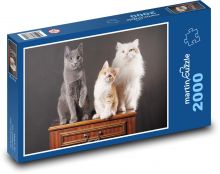 Kočky - domácí mazlíčci Puzzle 2000 - 90x60 cm