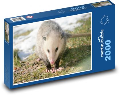 Opossum - Puzzle 2000 pieces, size 90x60 cm 