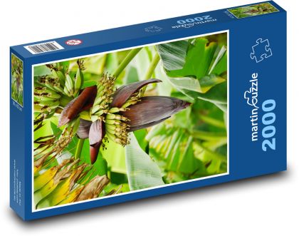 Bananenblüte - Puzzle - 2000 Teile