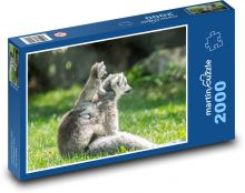 Lemur s mládětem Puzzle 2000 dílků - 90 x 60 cm