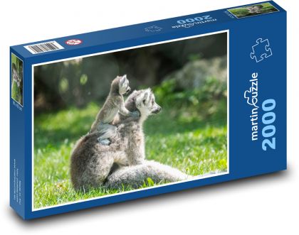 Lemur S mláďaťom - Puzzle 2000 dielikov, rozmer 90x60 cm 