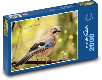 Jaya - Puzzle 2000 elementów, rozmiar 90x60 cm