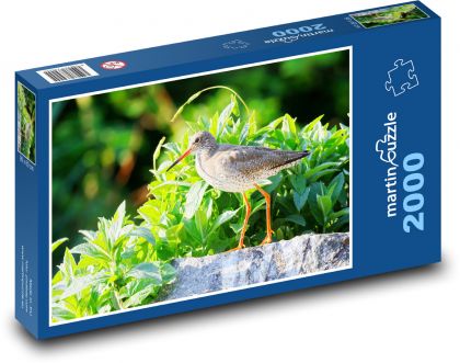 Vodouš - pták - puzzle 2000 dílků