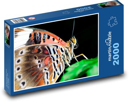 Goldäugiger Schmetterling - Puzzle - 2000 Teile