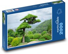 Bonsai - strom, borovica Puzzle 2000 dielikov - 90 x 60 cm