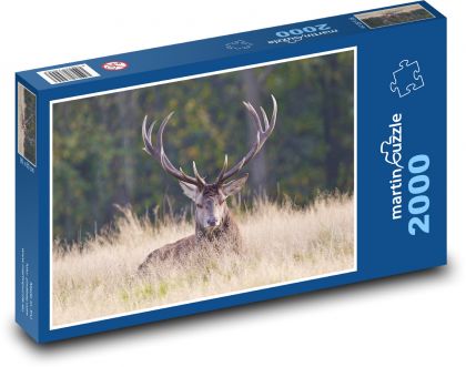 Hirsch - Geweih - Puzzle - 2000 Teile