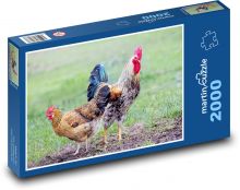 Hahn und Hühner Puzzle 2000 Teile - 90 x 60 cm