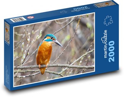 Ledňáček - pták - puzzle 2000 dílků