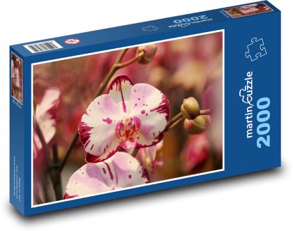 Květy orchideje - Puzzle 2000 dílků, rozměr 90x60 cm
