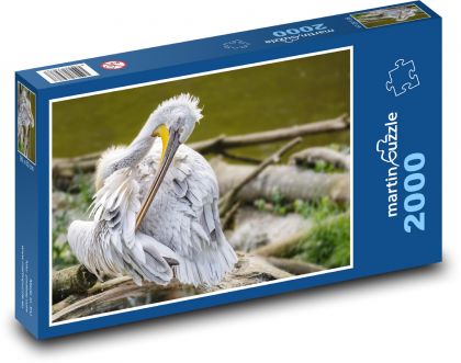 Pelikan - ptak - Puzzle 2000 elementów, rozmiar 90x60 cm