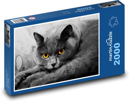 British Longhaired Cat - Puzzle 2000 pieces, size 90x60 cm 
