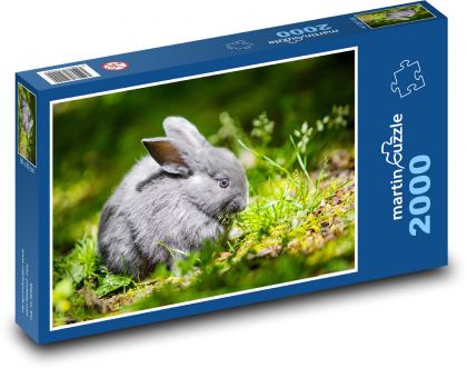 Králik - Puzzle 2000 dielikov, rozmer 90x60 cm 
