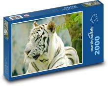 Usurijský tiger Puzzle 2000 dielikov - 90 x 60 cm