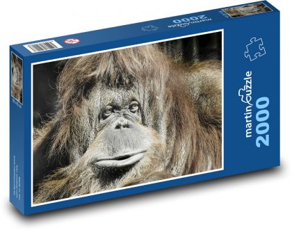 Orang-Utan - Affe - Puzzle - 2000 Teile