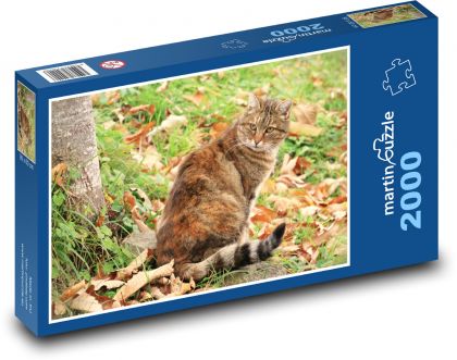 Kočka na zahradě - Puzzle 2000 dílků, rozměr 90x60 cm
