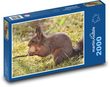 Veverička - hlodavec - Puzzle 2000 dielikov, rozmer 90x60 cm 