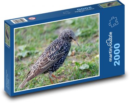 Star - Vogel - Puzzle - 2000 Teile