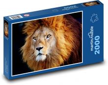 Lev s veľkou hrivou Puzzle 2000 dielikov - 90 x 60 cm
