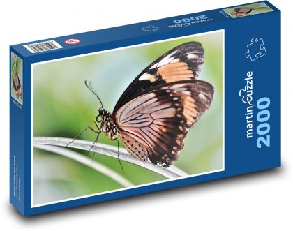 Tropical butterfly - Puzzle 2000 pieces, size 90x60 cm 