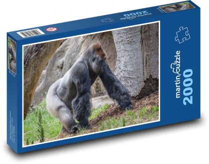 Gorila nížinná - Puzzle 2000 dielikov, rozmer 90x60 cm 
