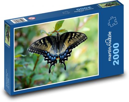Otakarek - motýľ - Puzzle 2000 dielikov, rozmer 90x60 cm 