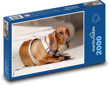 Pes - jezevčík - Puzzle 2000 dílků, rozměr 90x60 cm
