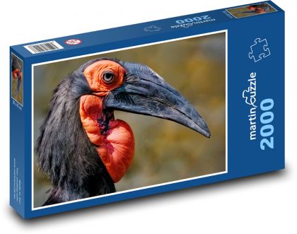 Dzioborożec - ptak - Puzzle 2000 elementów, rozmiar 90x60 cm