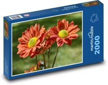 Astra - flower Puzzle 2000 pieces - 90 x 60 cm