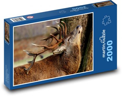 Hirsch - Puzzle - 2000 Teile