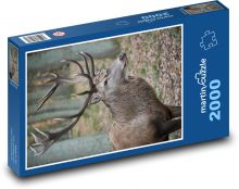 Jelen Puzzle 2000 - 90x60 cm